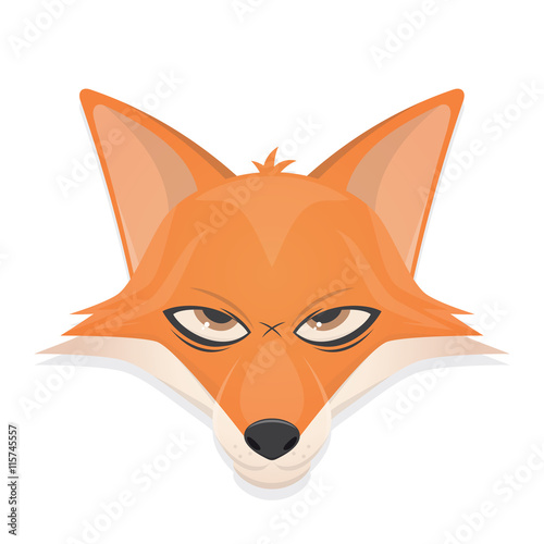 fox vector illustration