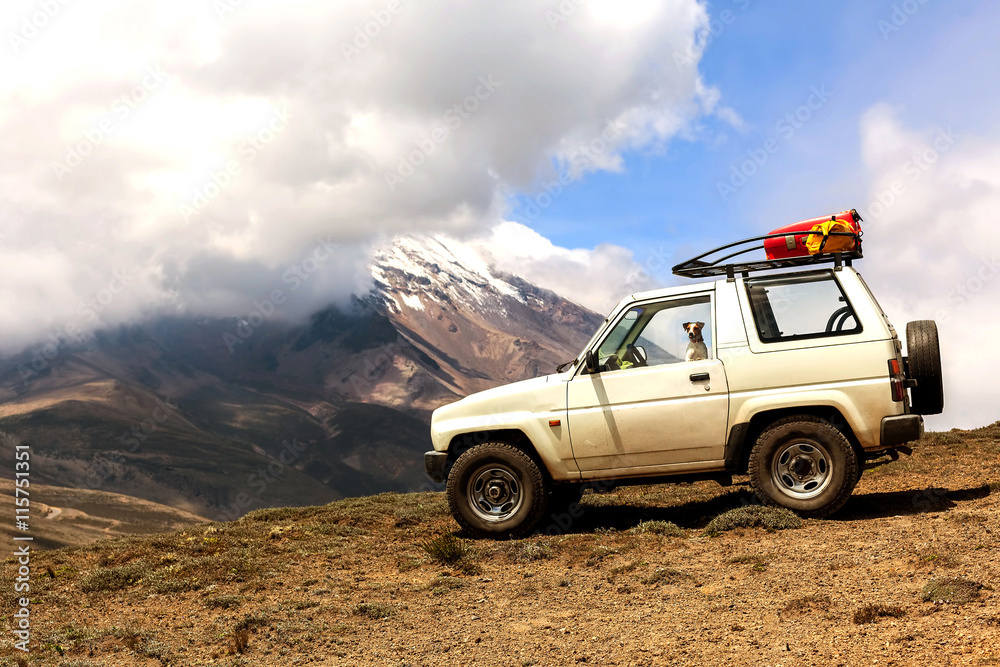 Jack Russell Terrier Dog On A Journey Full Of Adventure Jack Russell Terrier Dog On A Journey Full Of Adventure