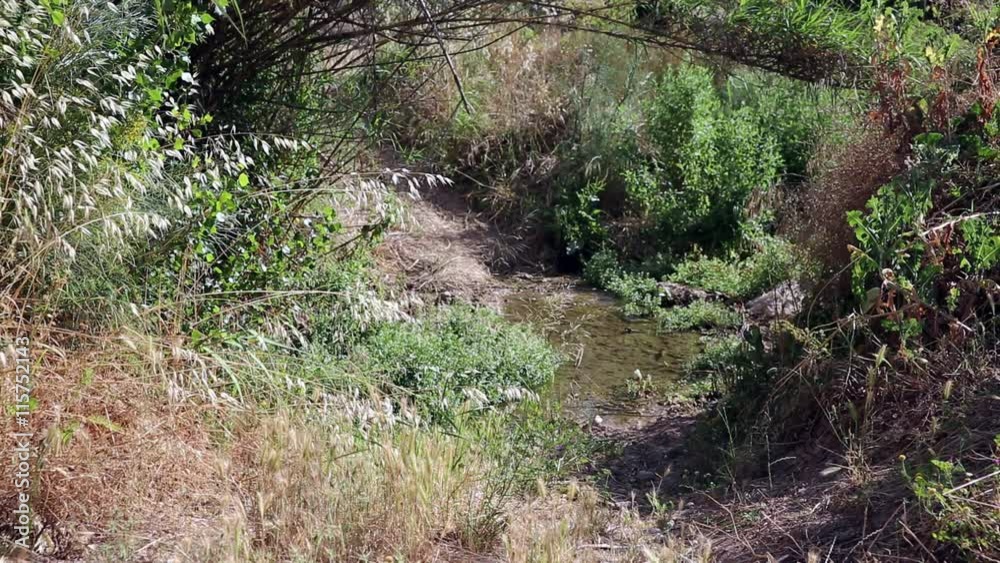 Bicycle touring through the countryside, crossing a water brook