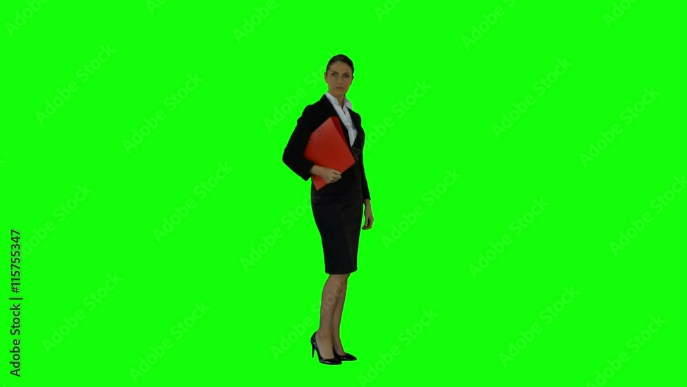 Businesswoman looking to the camera with file