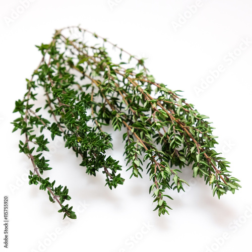Fresh organic thyme herb, isolated on white. Photographed with shallow depth of field.