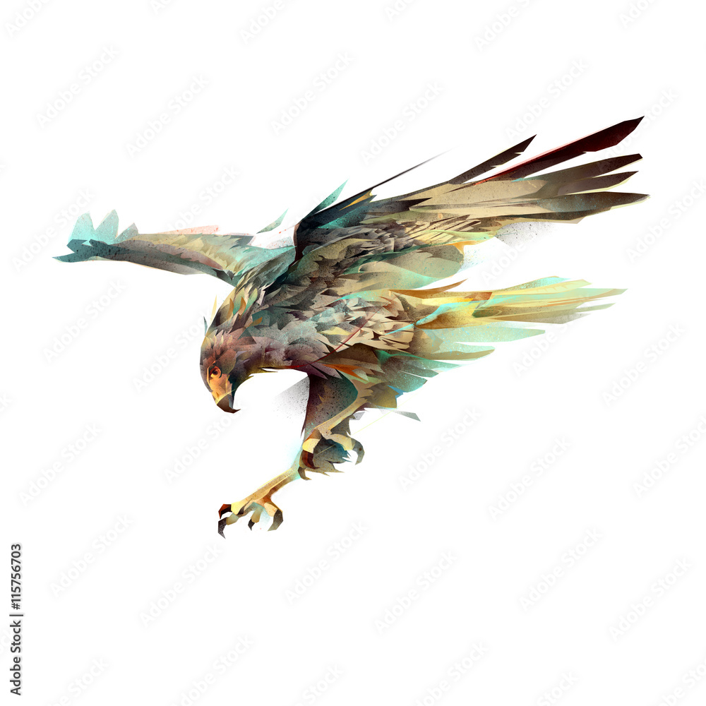 Naklejka premium eagle attacking