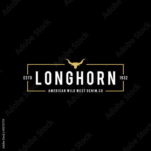 Vintage label with silhouette of bull head. Texas Wild West Theme. Vector illustration