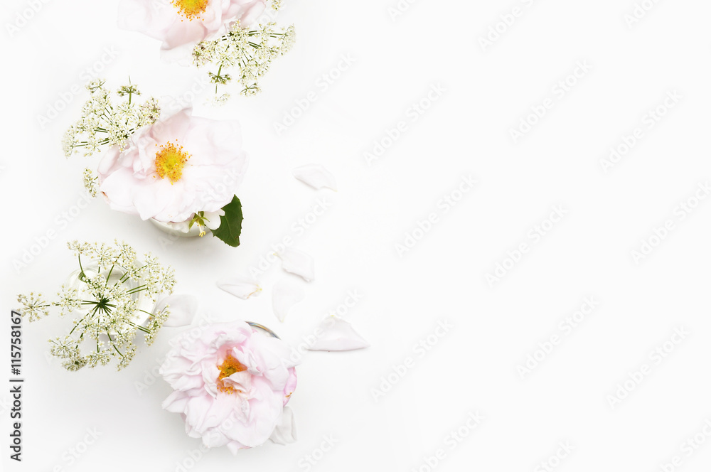 Flowers on white background. Flat lay. Mock-up desk. Beauty 