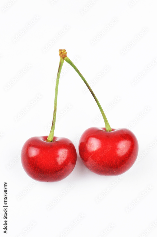 two cherries on a white background two cherries on a white background