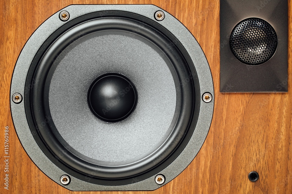 loudspeaker and tweeter in wooden cabinet loudspeaker and tweeter in wooden cabinet