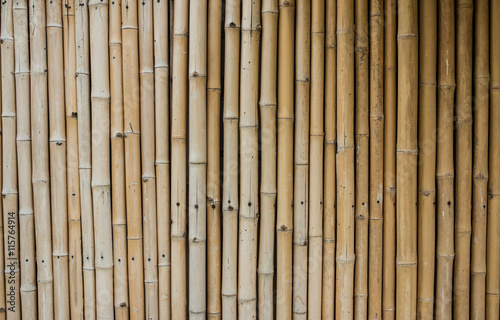 bamboo fence background