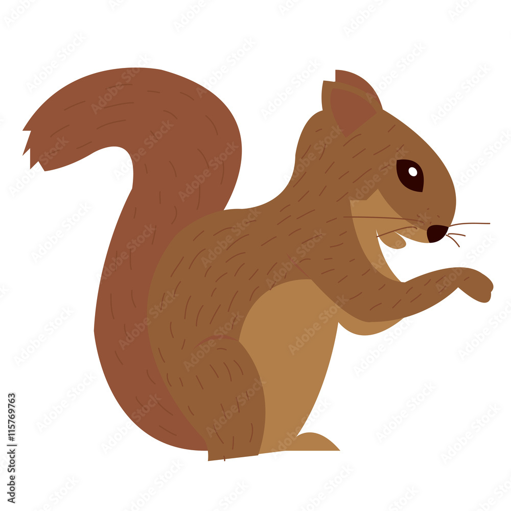Cute squirrel cartoon, logo, vector, eps, isolated Cute squirrel cartoon, logo, vector, eps, isolated