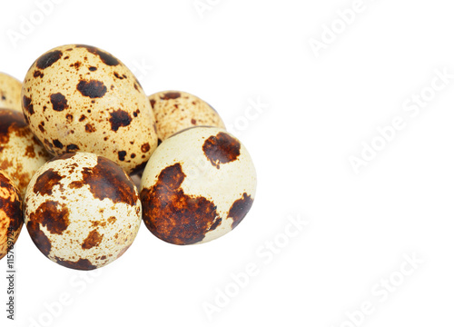 Quail eggs on white