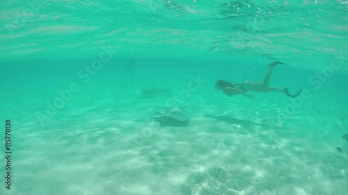 Wallpaper Mural SLOW MOTION: Young woman swimming underwater with stingrays and sharks Torontodigital.ca