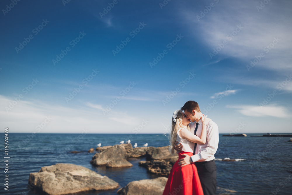 Charming bride, elegant groom on landscapes of mountains and sea Gorgeous wedding couple Charming bride, elegant groom on landscapes of mountains and sea Gorgeous wedding couple