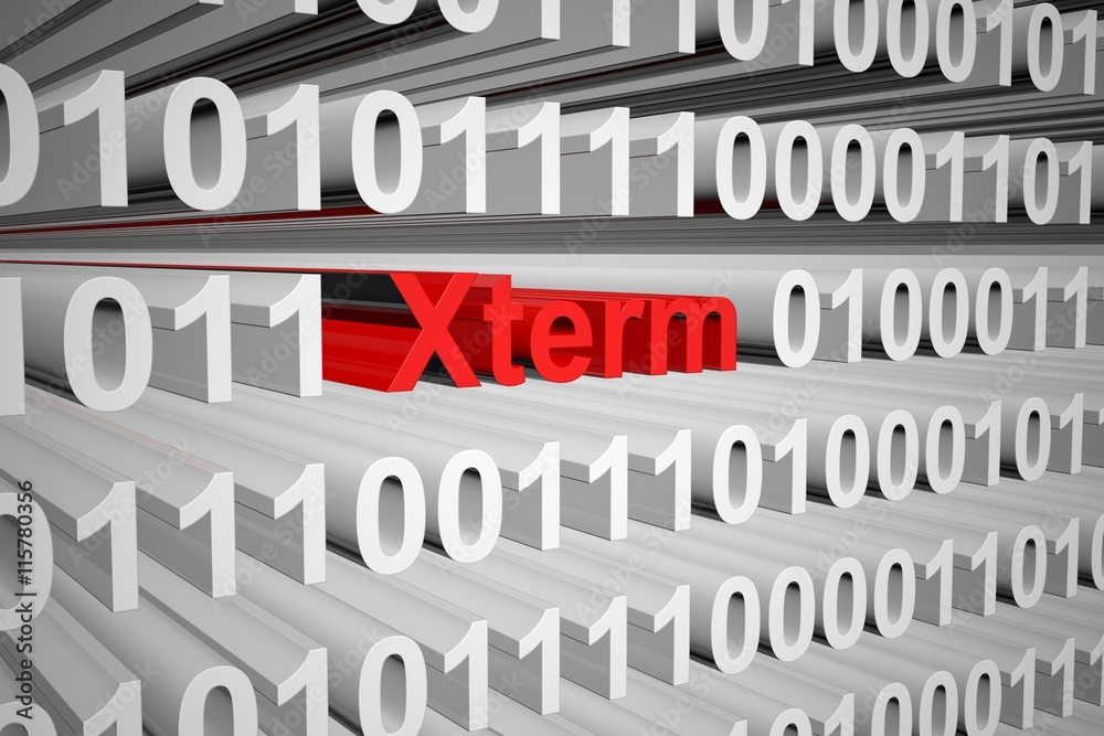 xterm in the form of binary code, 3D illustration