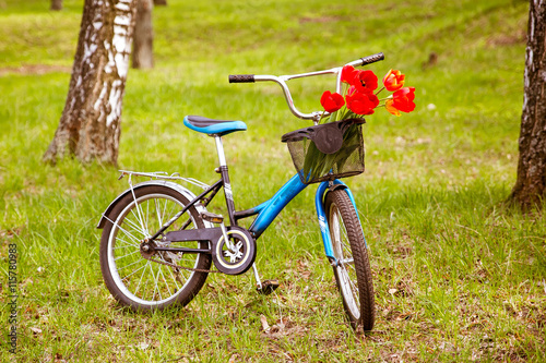 Blue children's Bicycle stands in the grass with tulips in the basket
