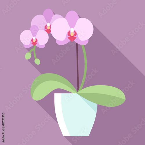 Fototapeta Naklejka Na Ścianę i Meble -  Vector illustration of orchid flower in flowerpot with long shadow. Modern pastel colors. Flat style.