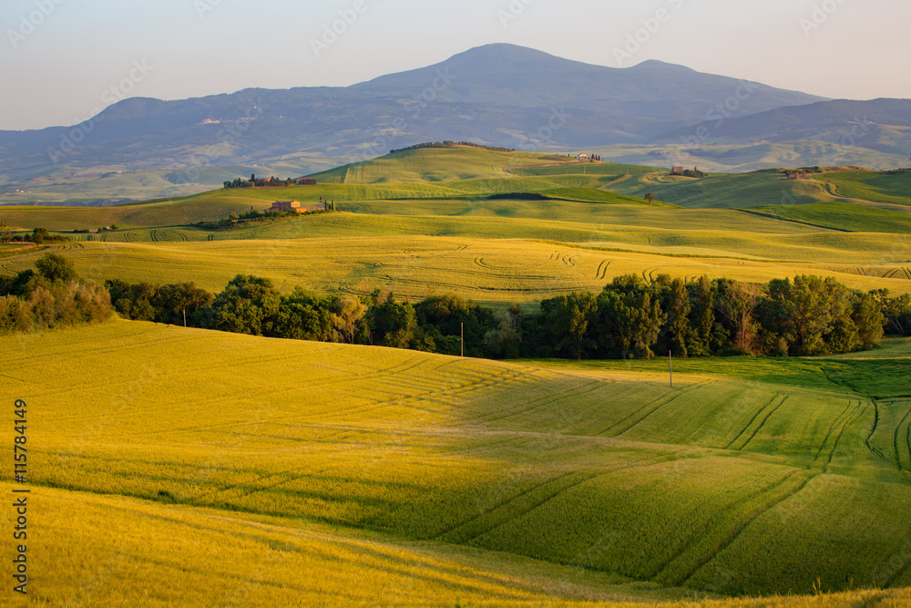 Landscape in Tuscany