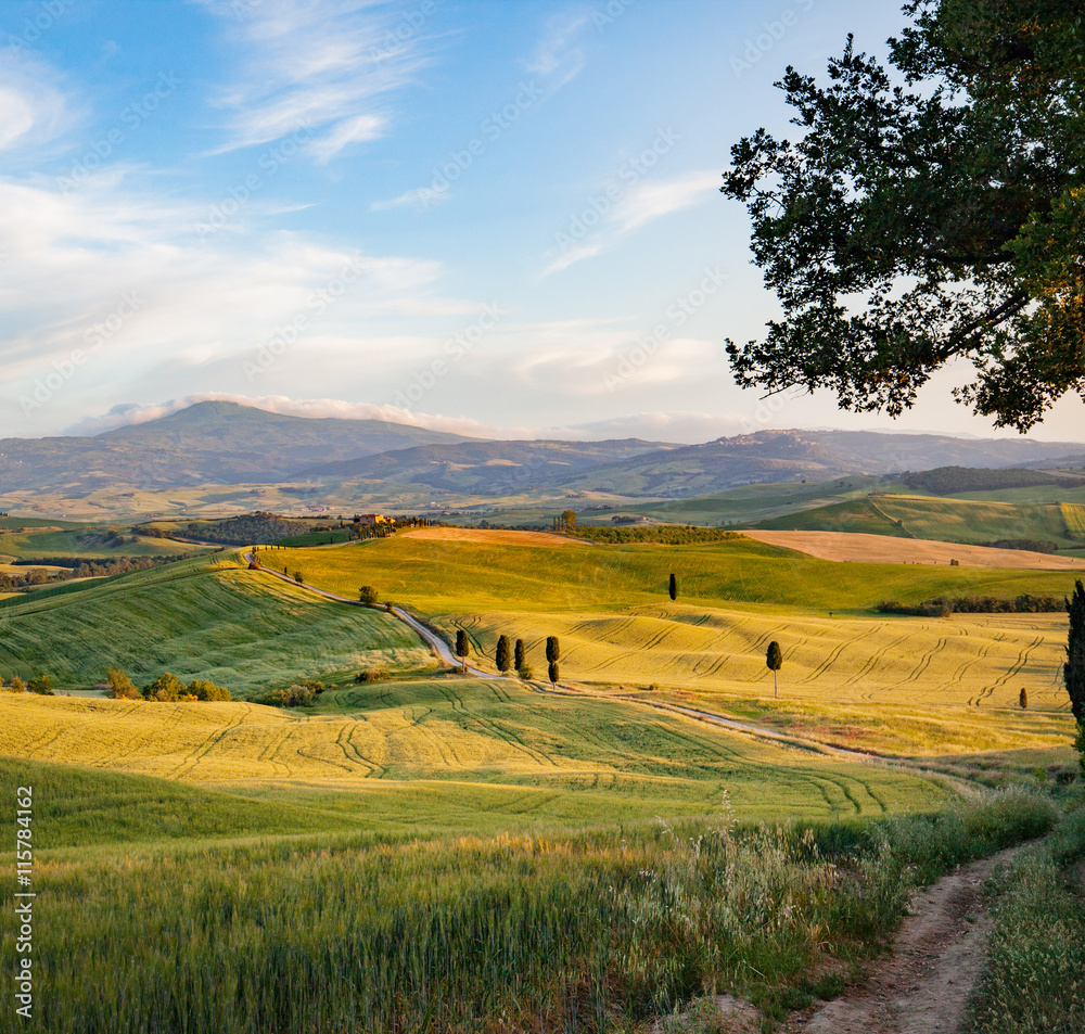 Obraz premium Landscape in Tuscany