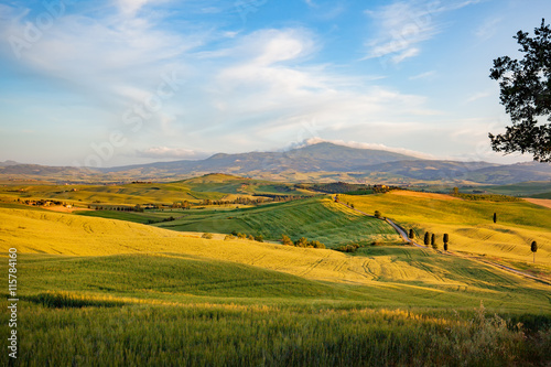 Landscape in Tuscany