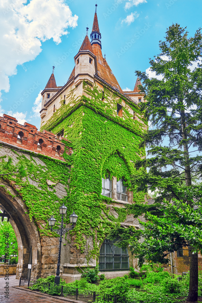 Vajdahunyad Castle (Hungarian-Vajdahunyad vara) is a castle in t Vajdahunyad Castle (Hungarian-Vajdahunyad vara) is a castle in t