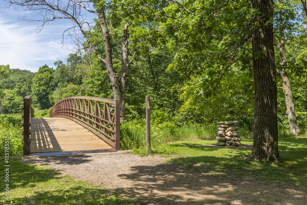 Obraz premium Park Footbridge