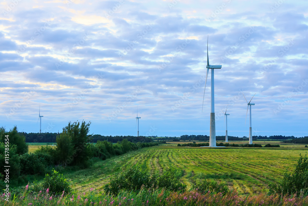 Windmill on rural field in the sunset. Wind turbines farm.