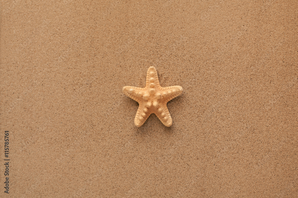 Summer. Summer background. Summer accessories, Summer concept . Starfish with sand as background. Sand texture Summer. Summer background. Summer accessories, Summer concept . Starfish with sand as background. Sand texture