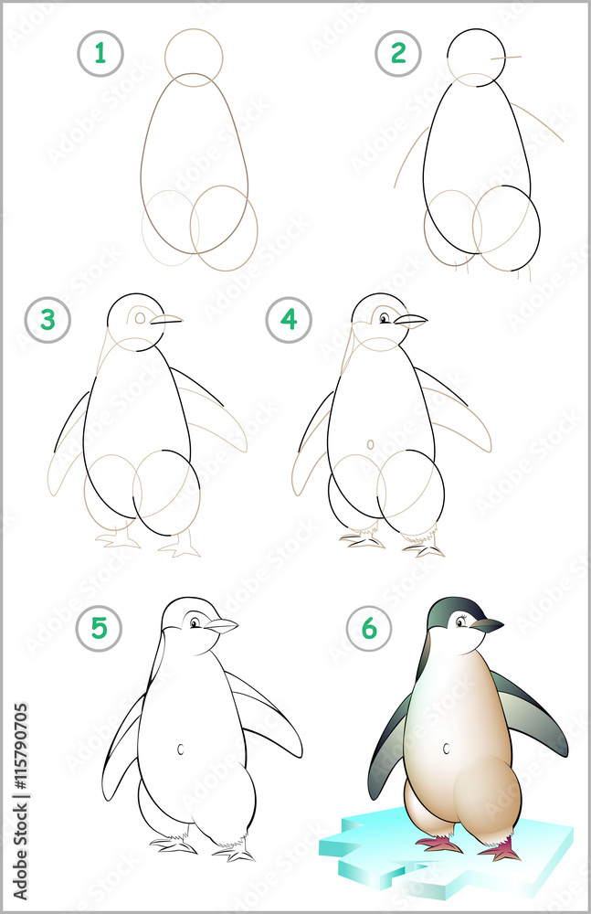 Obraz premium Page shows how to learn step by step to draw a penguin. Developing children skills for drawing and coloring. Vector image.