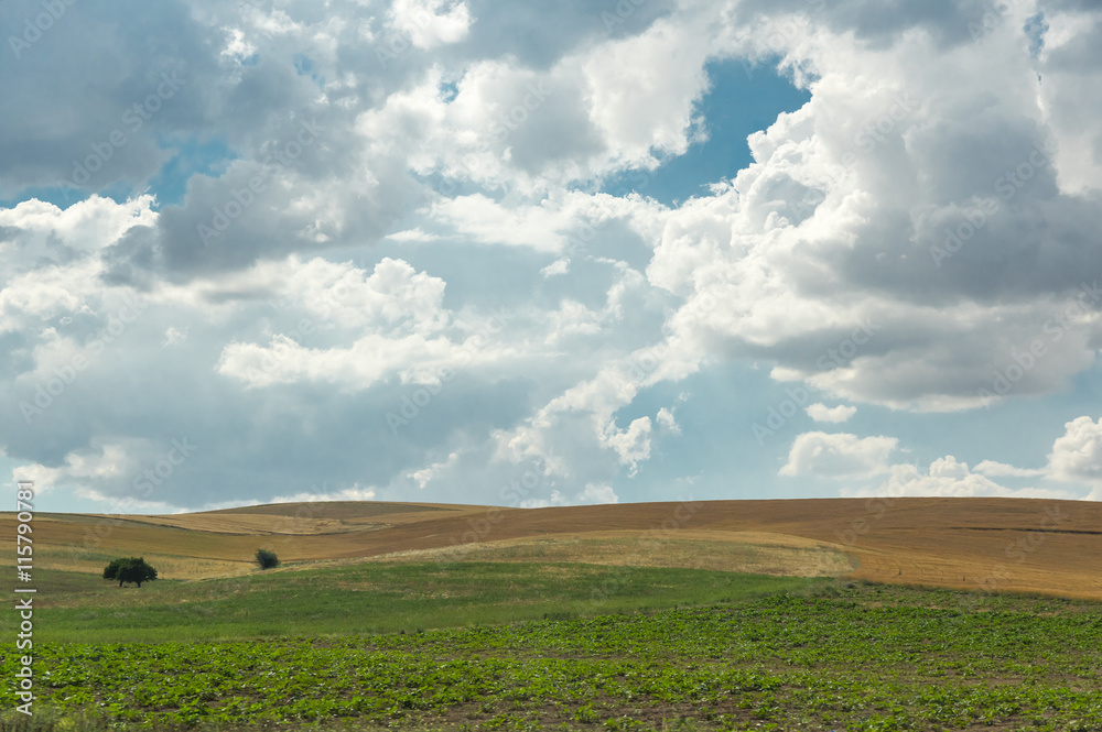 Fototapeta premium Rural landscape in Cappadocia, Turkey