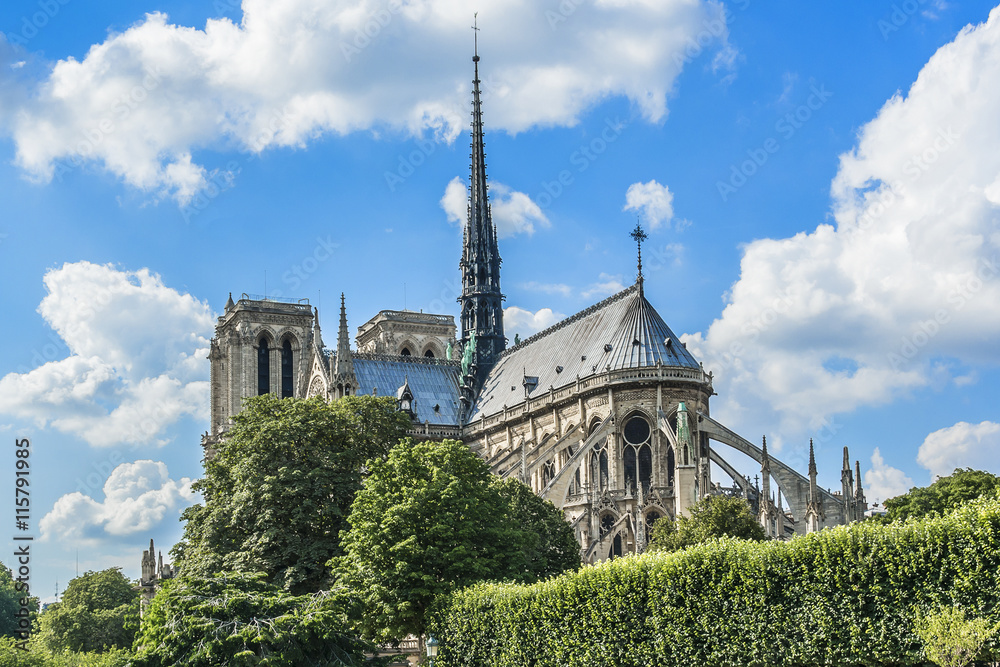 The Cathedral of Notre Dame de Paris, France. The Cathedral of Notre Dame de Paris, France.