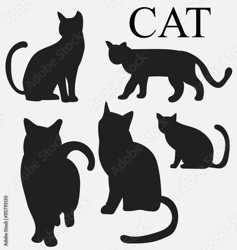 силуэт кота
