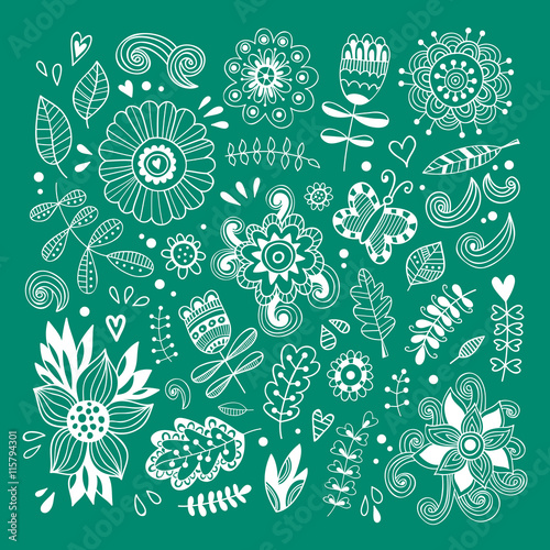 Flowers and plants hand drawn vector set. Nature design elements