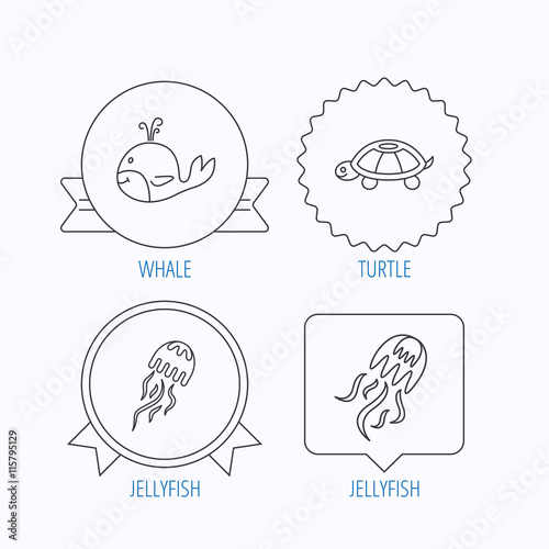 Turtle and jellyfish icons. Jellyfish.