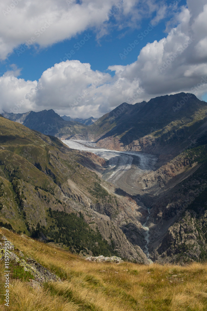 Glacier Aletsch with mountains, meadow, clouds and blue sky