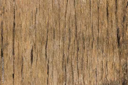 Old wood with black mold.
