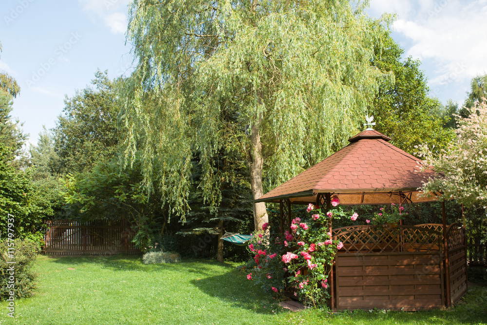 Outdoor wooden gazebo with roses and summer landscape background