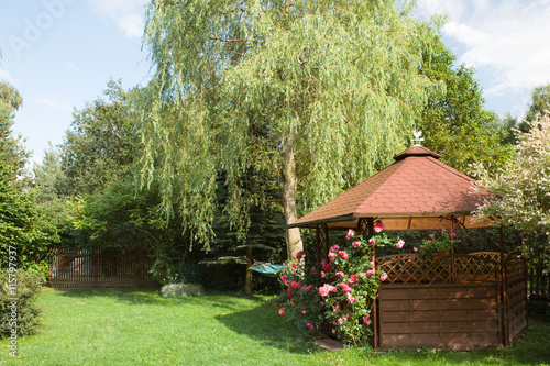 Obraz na płótnie Outdoor wooden gazebo with roses and summer landscape background w salonie