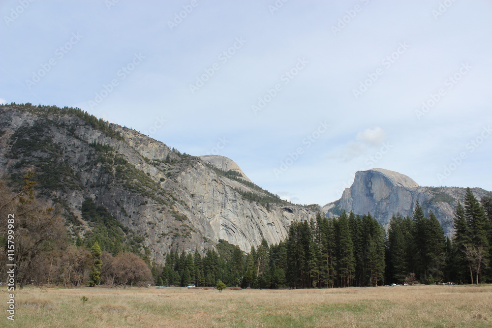 Fototapeta premium ヨセミテｔ国立公園の雄大な自然