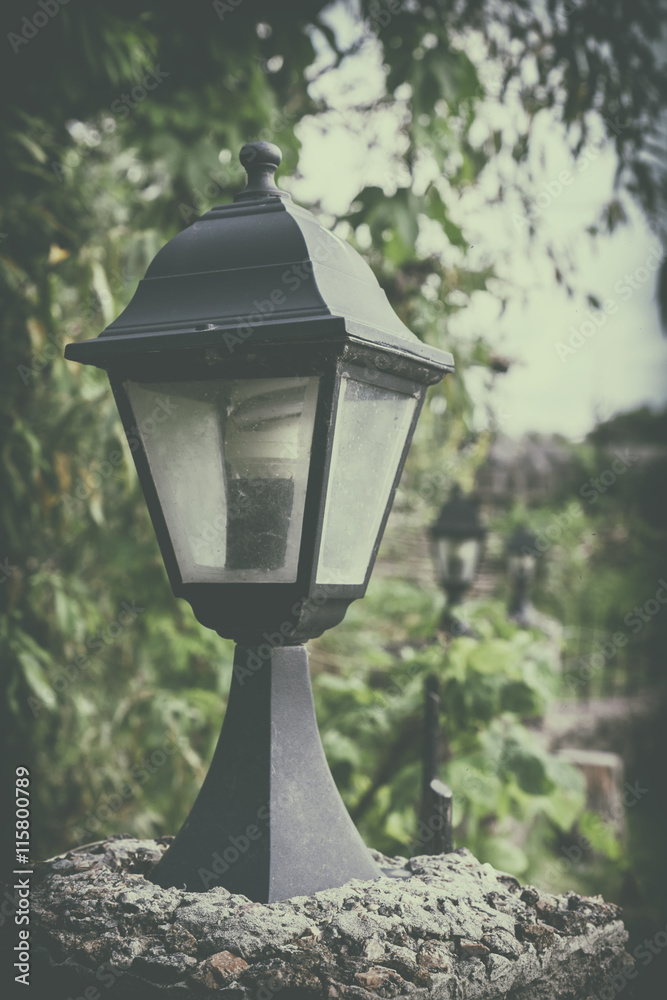 Old vintage street lamp lantern with green leaf tree. Coloring and processing photos in imitation of the classic cameras film.