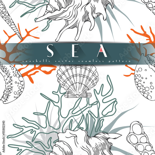 Seashells vector seamless pattern with algae, orange coral in different forms white background. Sea life, underwater isolated hand drawn concept illustration, line art.