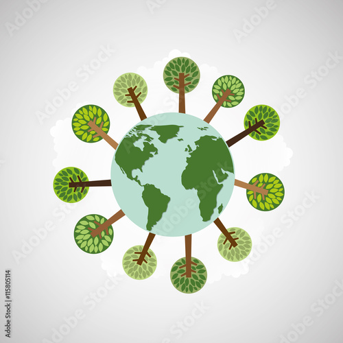 tree forest nature