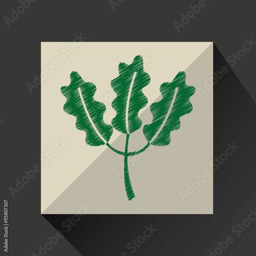 nature leaf green ecology botany