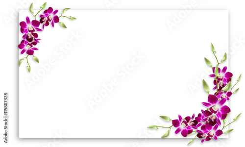 Fototapeta Naklejka Na Ścianę i Meble -  Orchid flowers frame with white copy space.