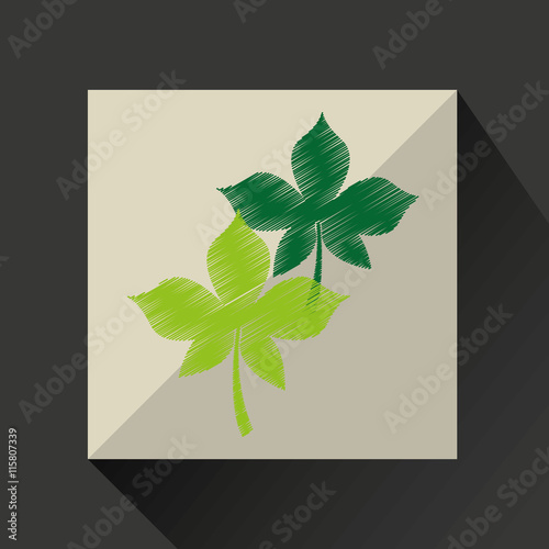 nature leaf green ecology botany