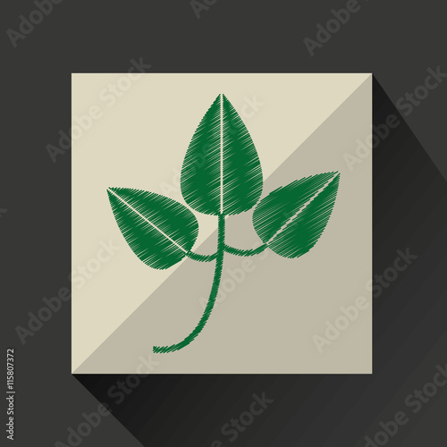 nature leaf green ecology botany