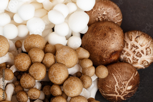 Mushrooms on black background.Shitake and ganoderma mushroom.Mushrooms food background.