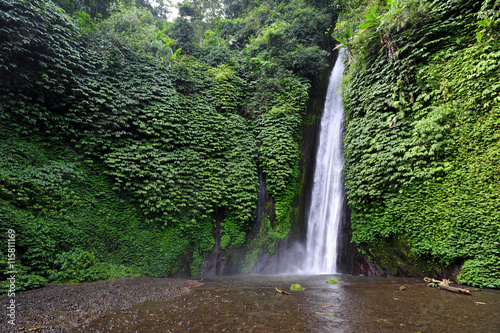 Nungung waterfall in Bali