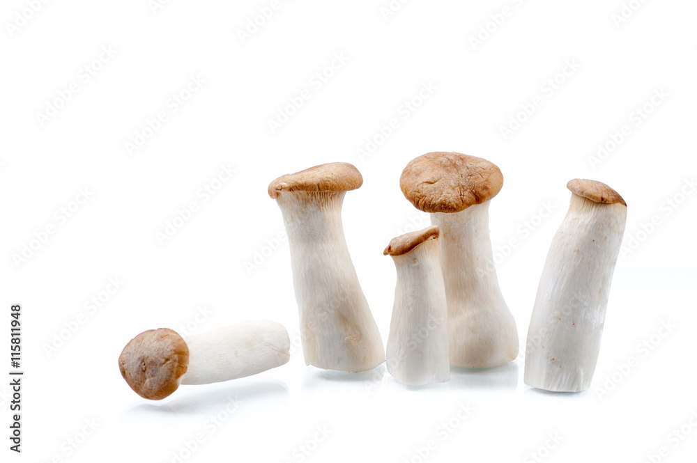 King Oyster mushroom (Eringi) on white backgroud. King Oyster mushroom (Eringi) on white backgroud.