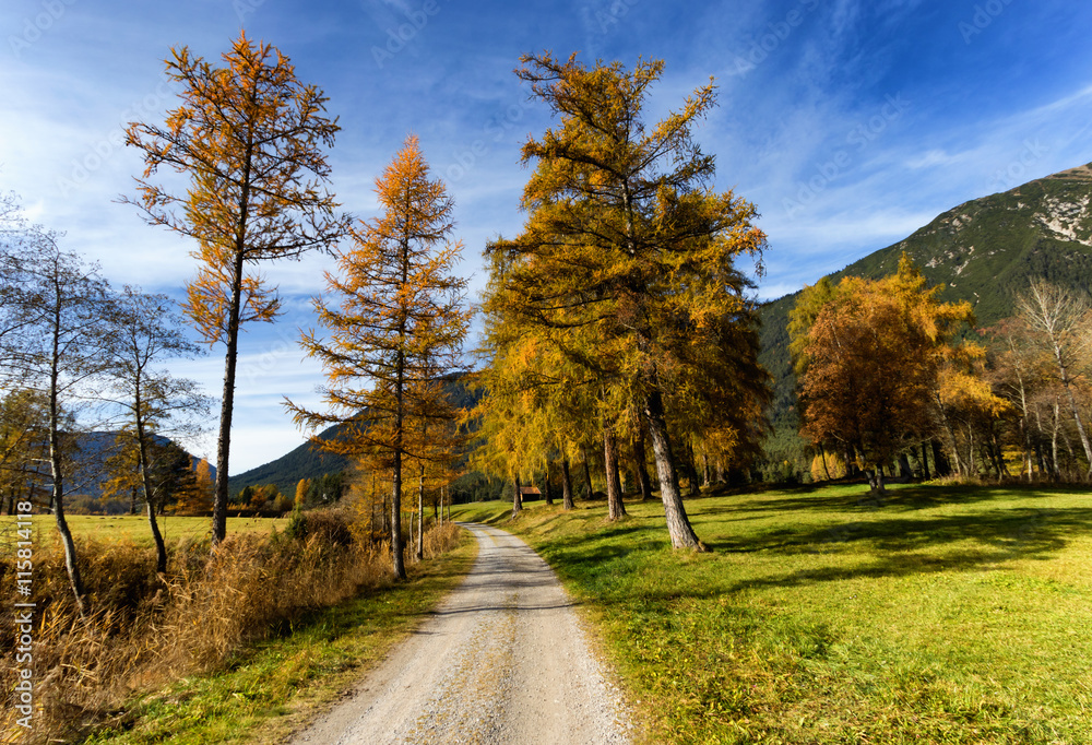 Path through autumn mountain landscape. Mieminger Plateau, Austria,Tyrol. Path through autumn mountain landscape. Mieminger Plateau, Austria,Tyrol.