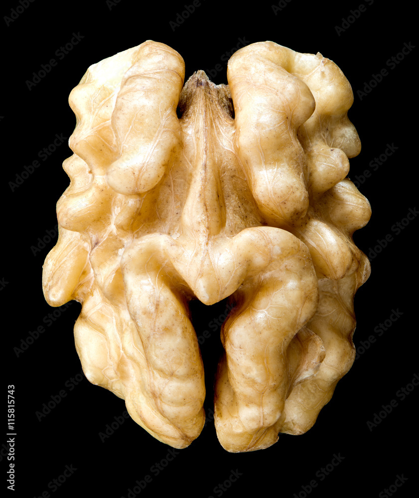 Nut on black background Nut on black background