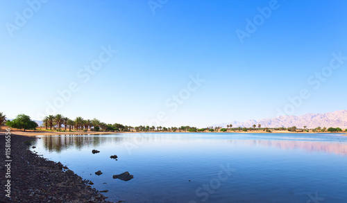  oasis in the south of Israel