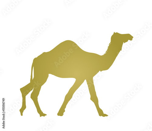 kamel silhouette